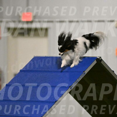 Maverick-Melinda-Sanford-11066