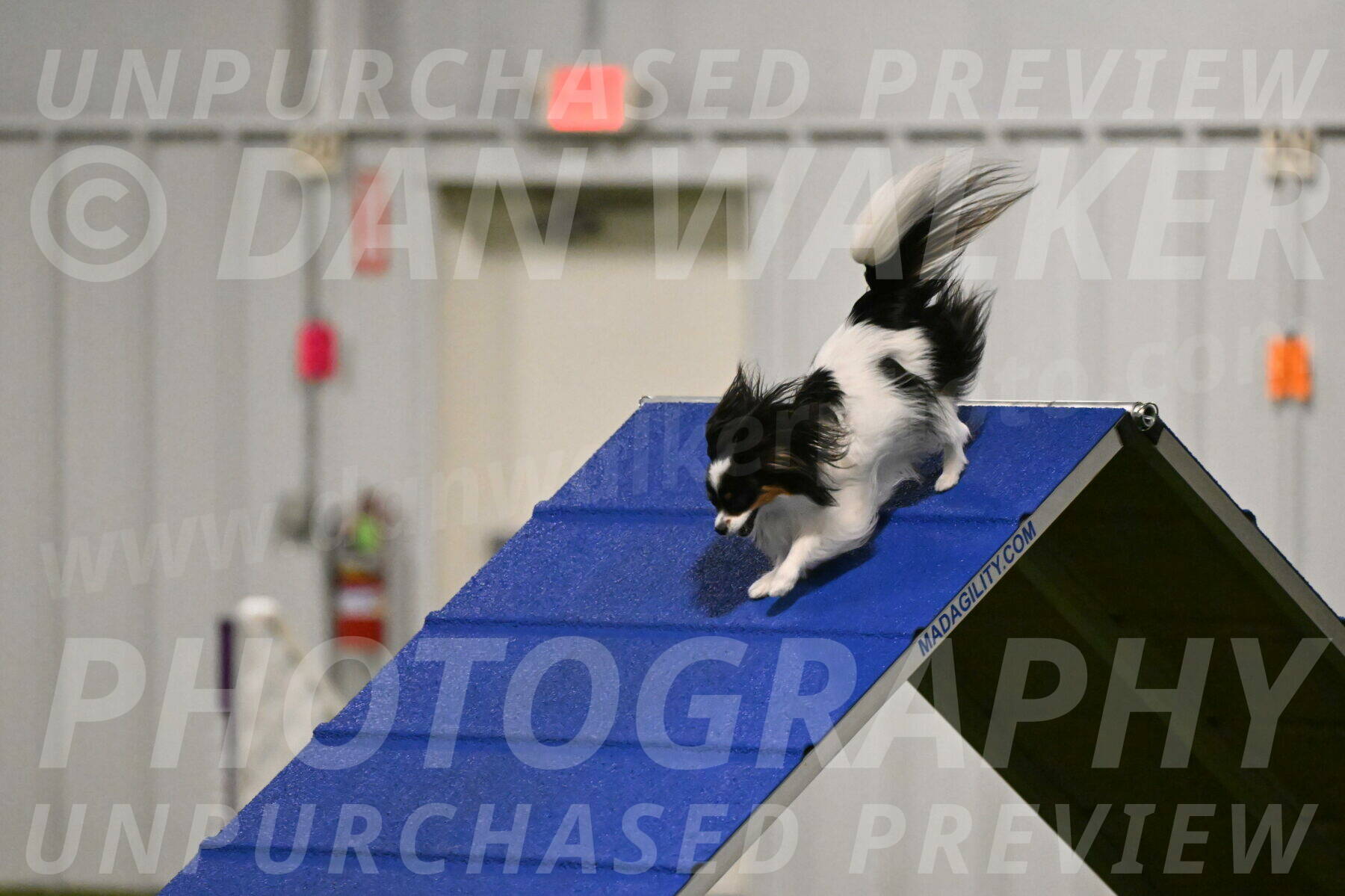 Maverick-Melinda-Sanford-11067