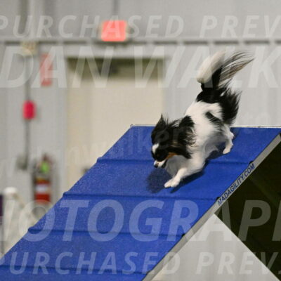 Maverick-Melinda-Sanford-11067