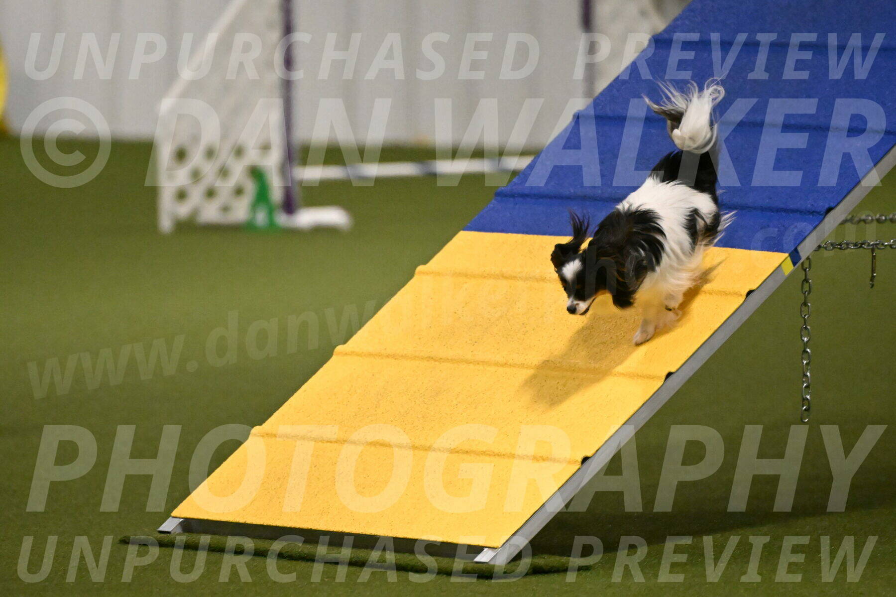 Maverick-Melinda-Sanford-11068