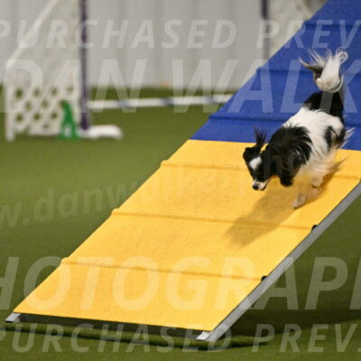 Maverick-Melinda-Sanford-11068