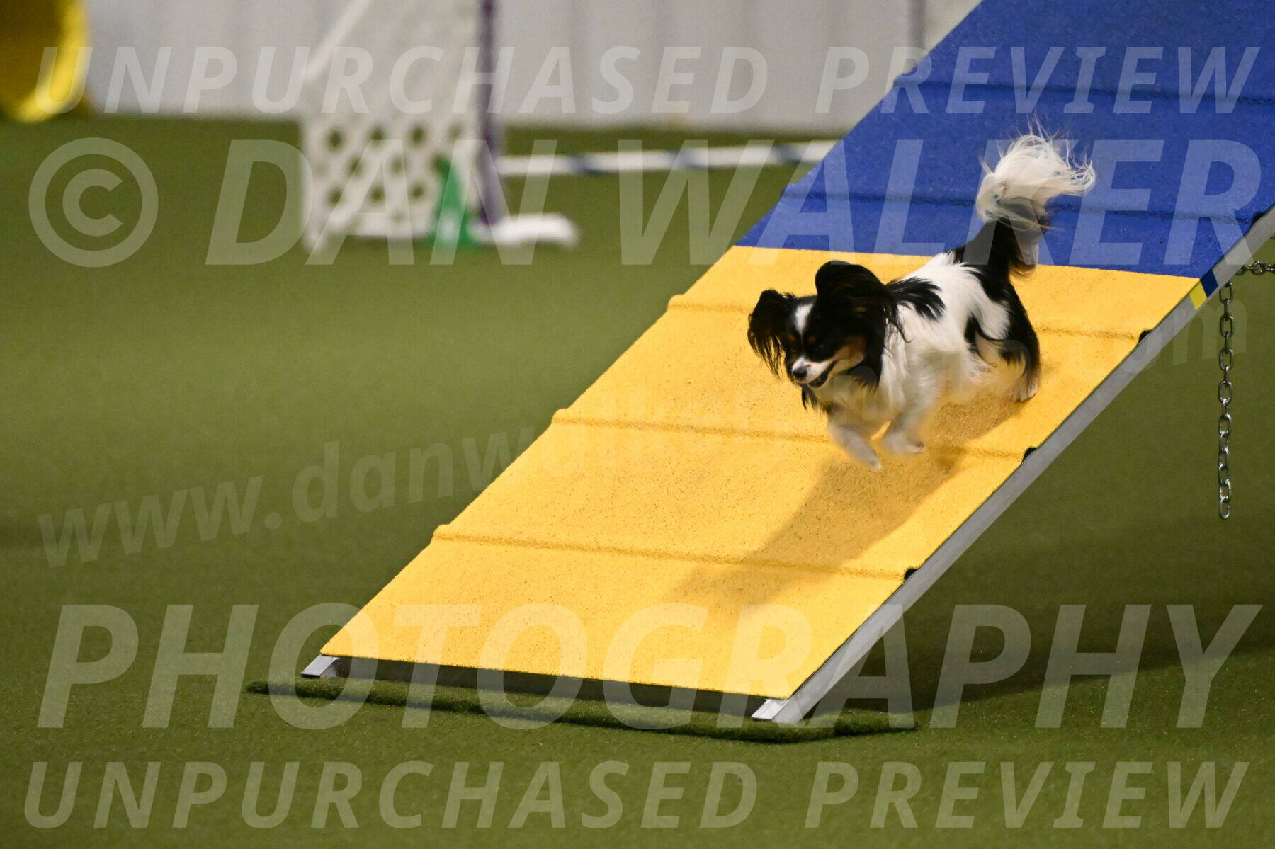 Maverick-Melinda-Sanford-11069