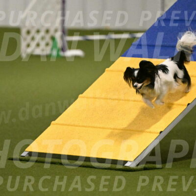 Maverick-Melinda-Sanford-11069