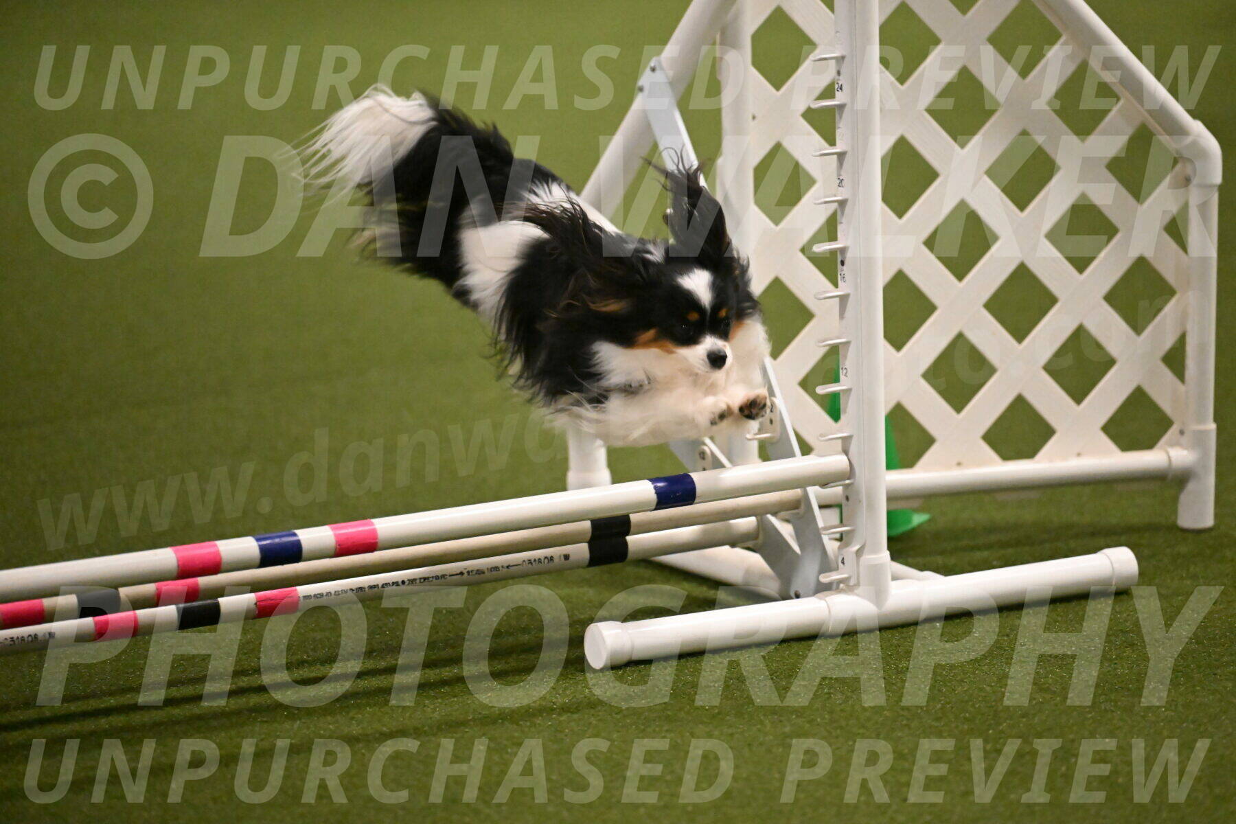 Maverick-Melinda-Sanford-11072