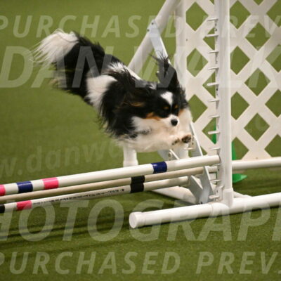 Maverick-Melinda-Sanford-11072