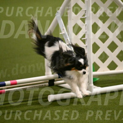 Maverick-Melinda-Sanford-11073