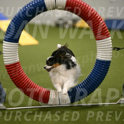 Maverick-Melinda-Sanford-11074