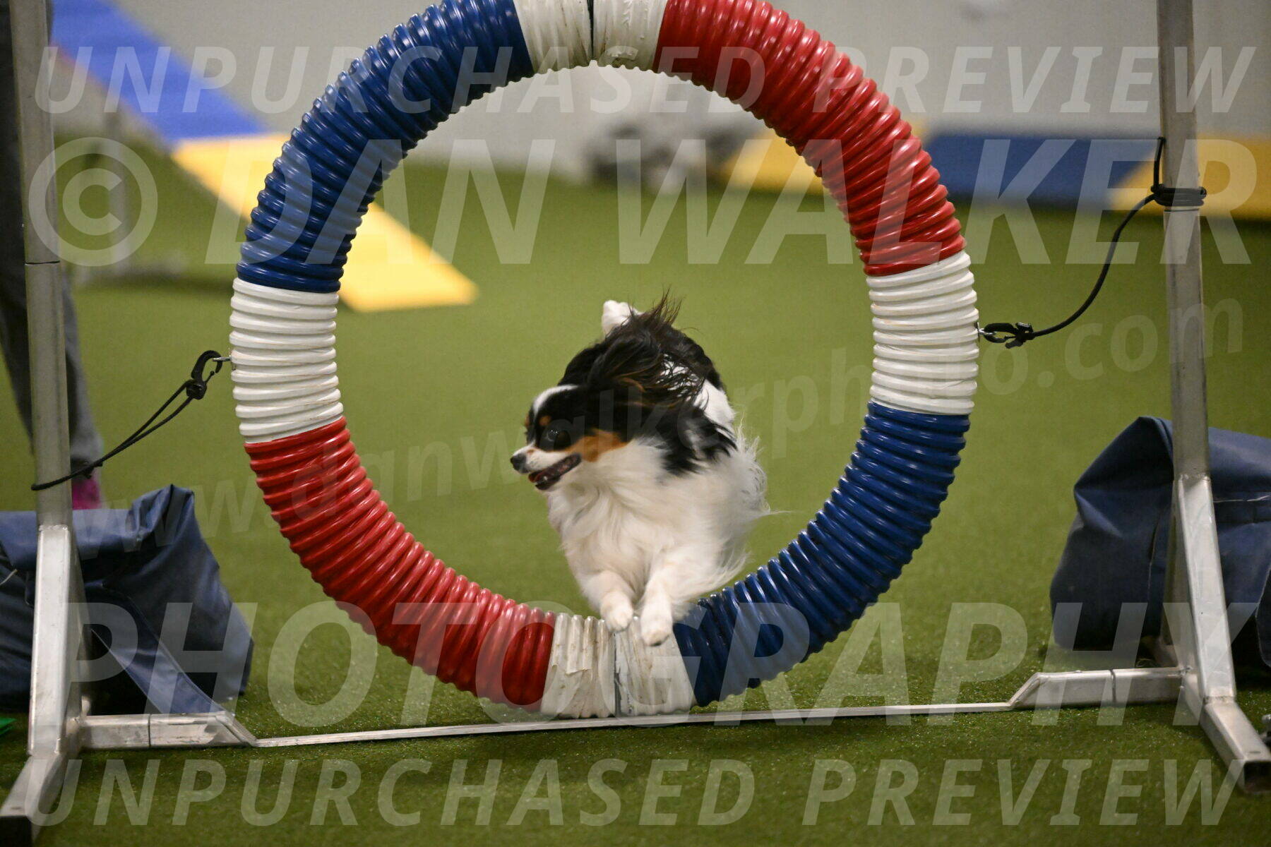 Maverick-Melinda-Sanford-11074