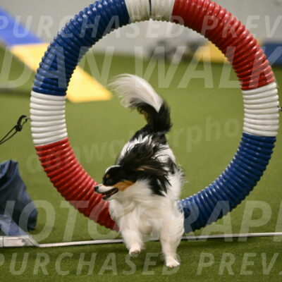 Maverick-Melinda-Sanford-11075