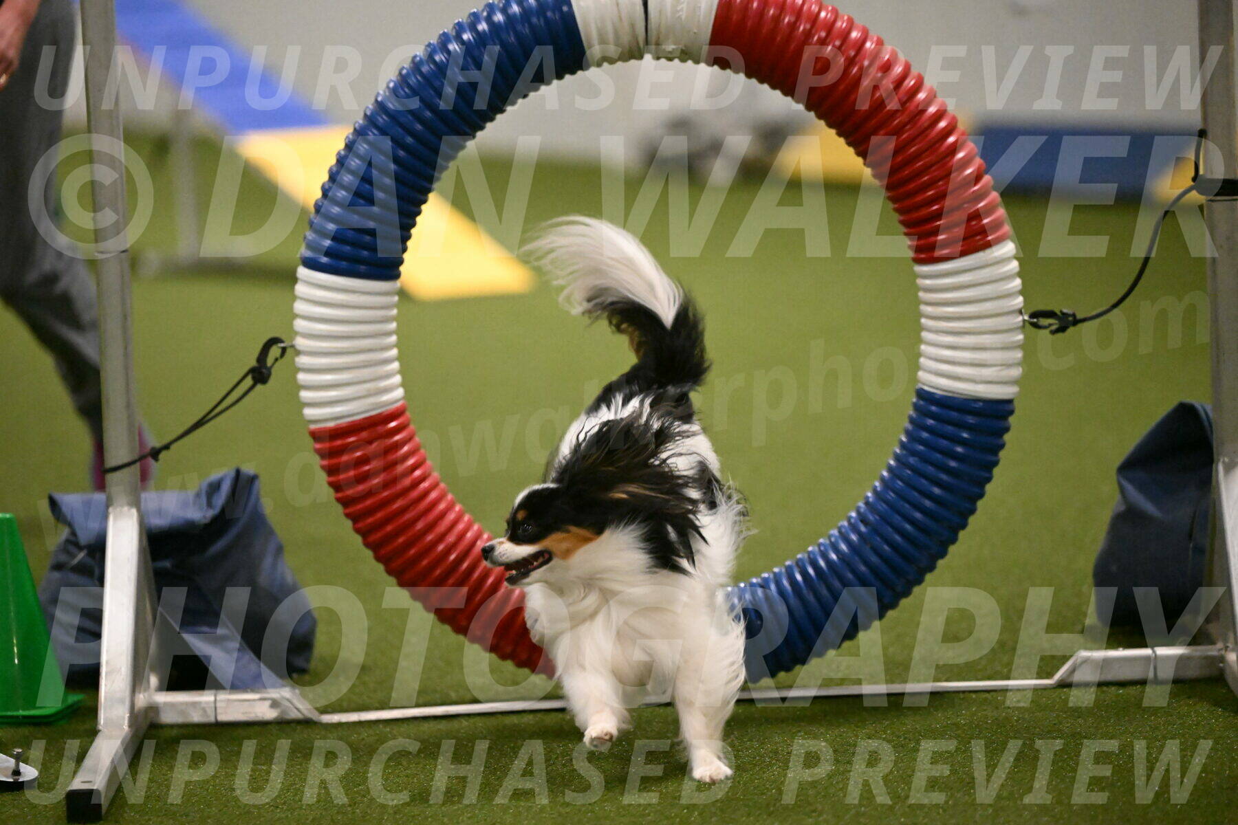 Maverick-Melinda-Sanford-11075