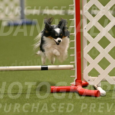 Maverick-Melinda-Sanford-11076