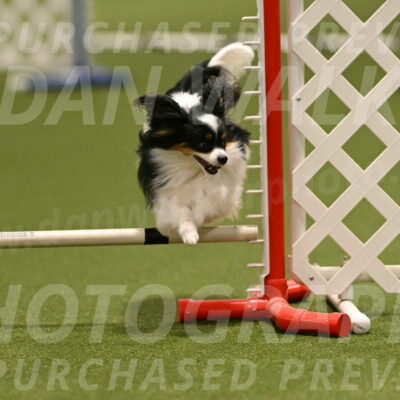 Maverick-Melinda-Sanford-11077