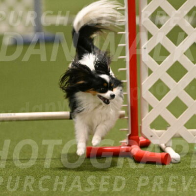 Maverick-Melinda-Sanford-11078