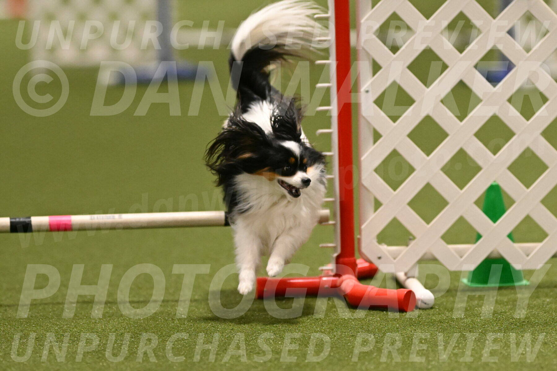 Maverick-Melinda-Sanford-11078