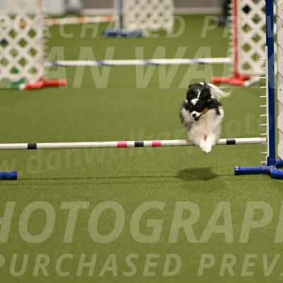 Maverick-Melinda-Sanford-11081