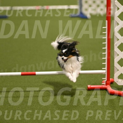 Maverick-Melinda-Sanford-11084