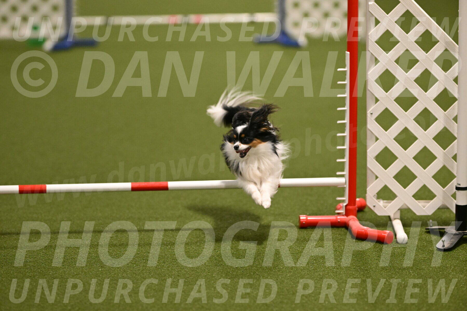 Maverick-Melinda-Sanford-11084