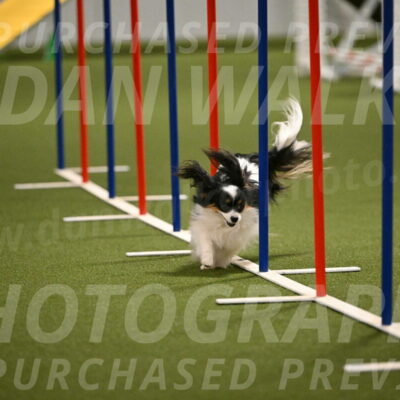 Maverick-Melinda-Sanford-11086