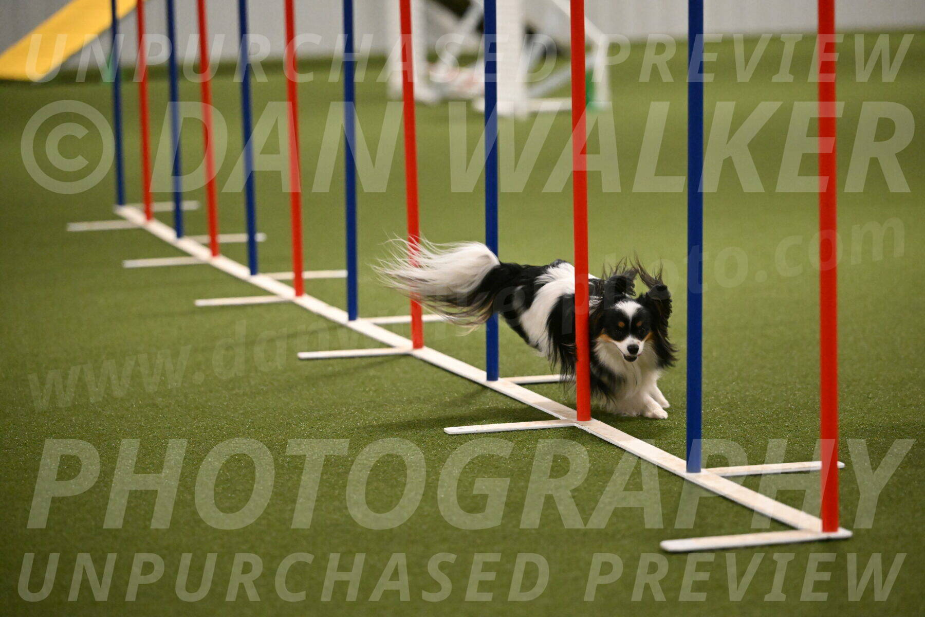 Maverick-Melinda-Sanford-11088