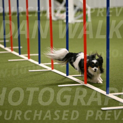 Maverick-Melinda-Sanford-11088