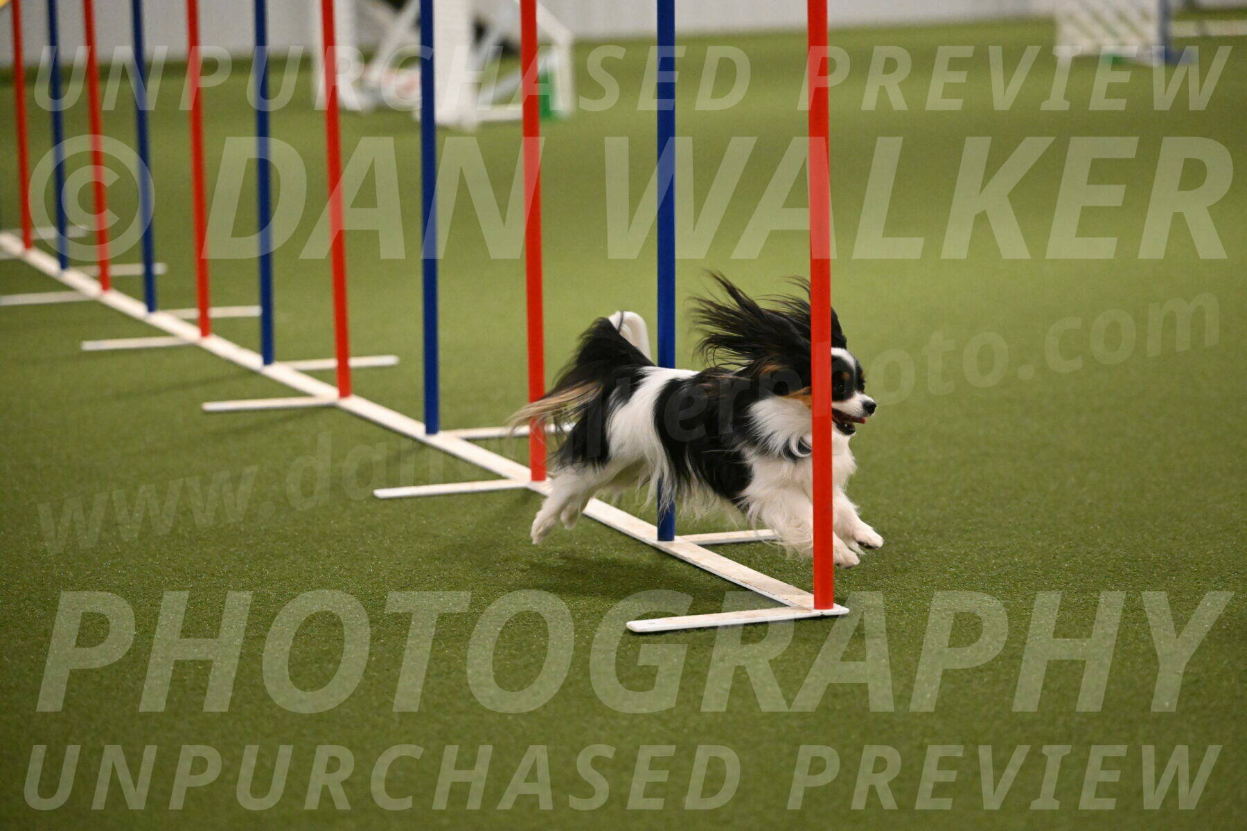 Maverick-Melinda-Sanford-11089