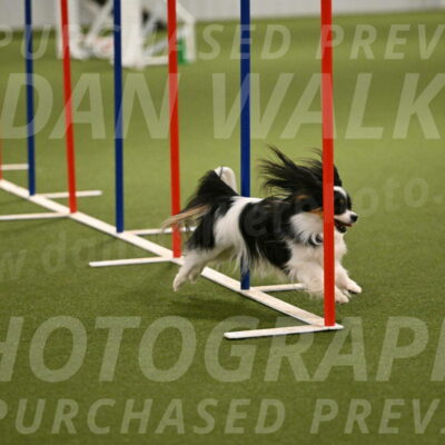 Maverick-Melinda-Sanford-11089