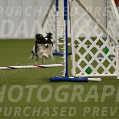Maverick-Melinda-Sanford-11093