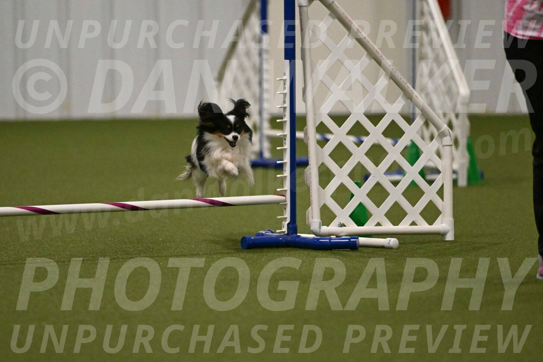 Maverick-Melinda-Sanford-11093