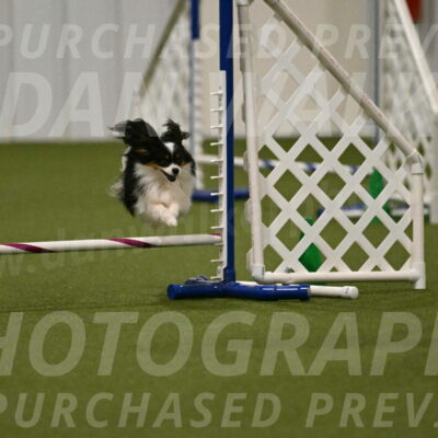 Maverick-Melinda-Sanford-11094
