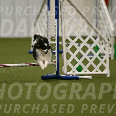 Maverick-Melinda-Sanford-11095