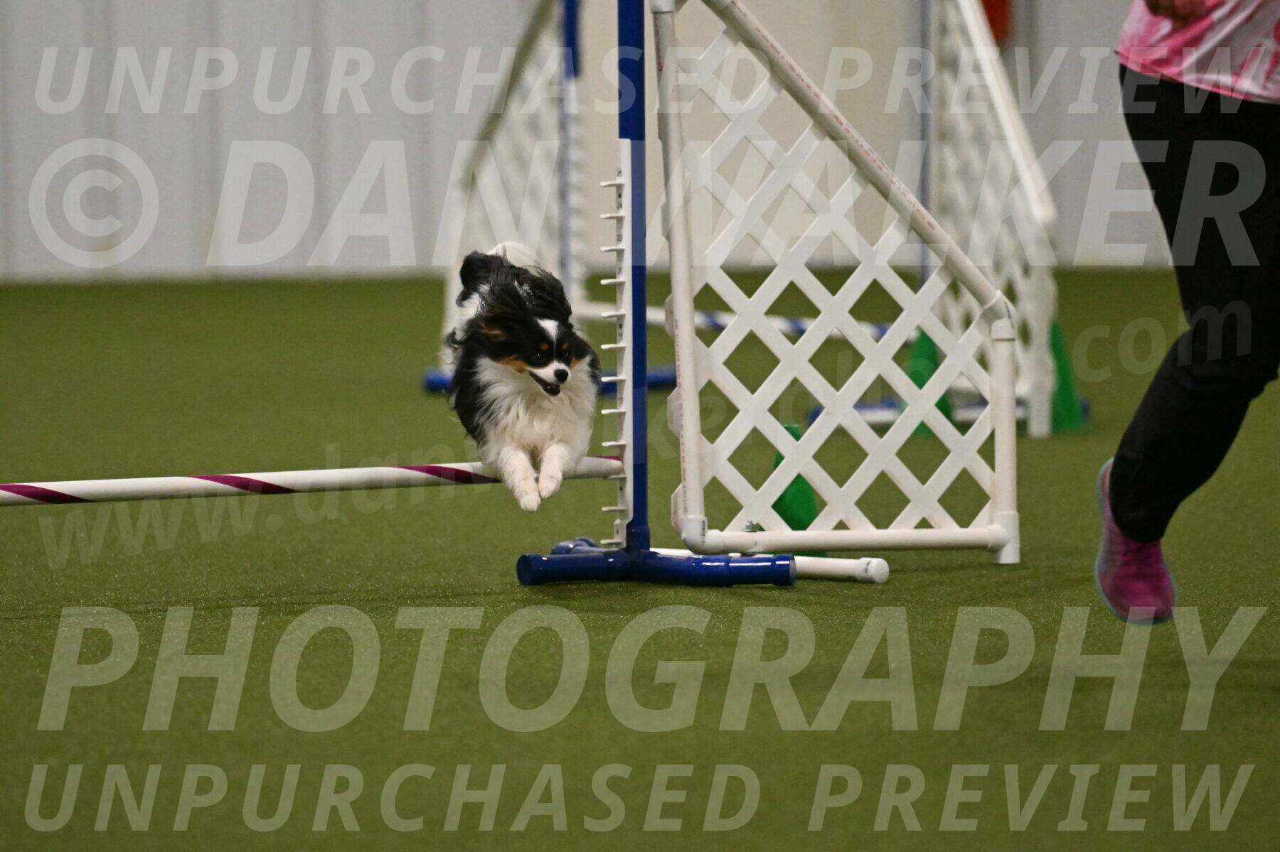 Maverick-Melinda-Sanford-11095