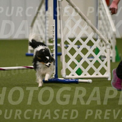 Maverick-Melinda-Sanford-11096