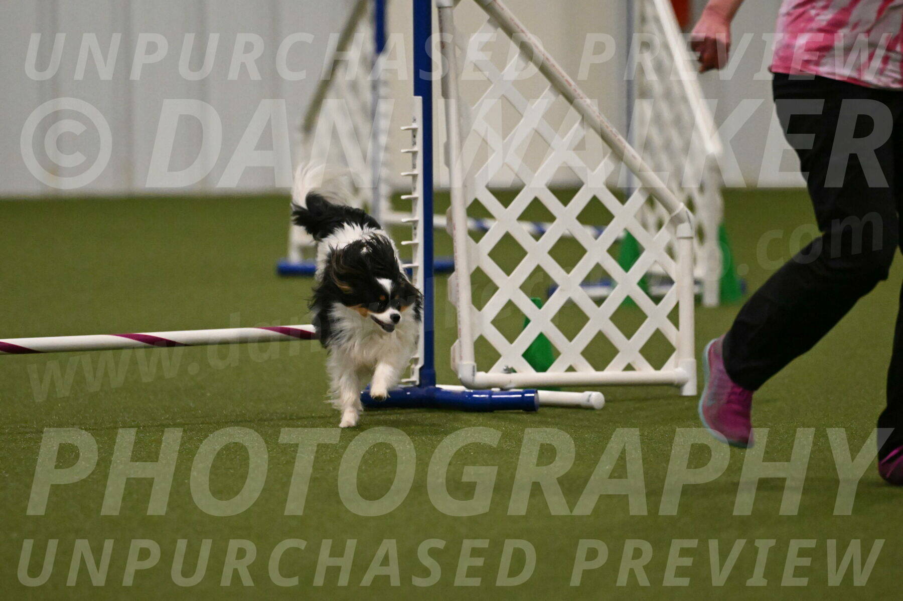 Maverick-Melinda-Sanford-11096