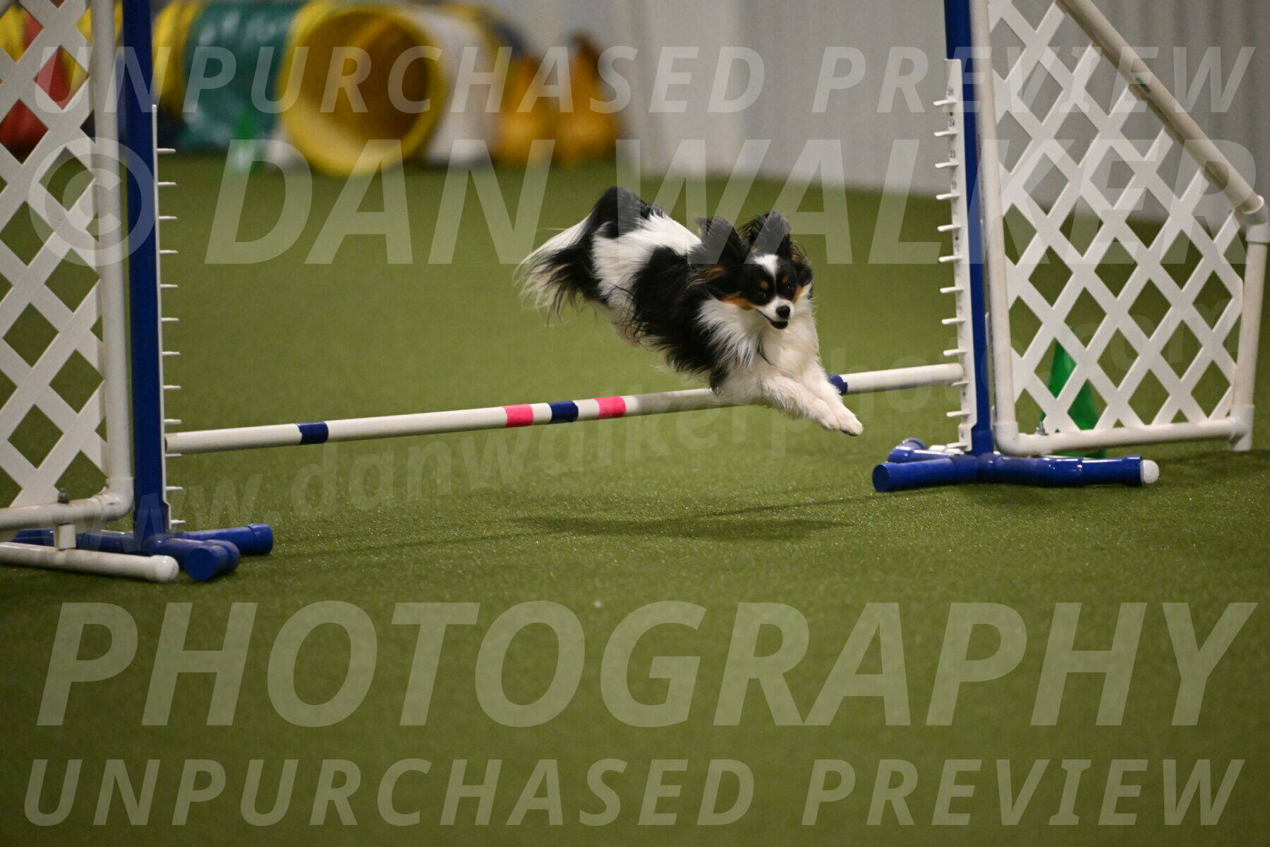 Maverick-Melinda-Sanford-11098