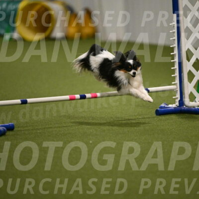 Maverick-Melinda-Sanford-11098
