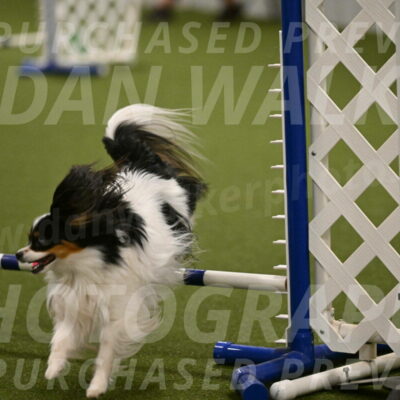 Maverick-Melinda-Sanford-11099