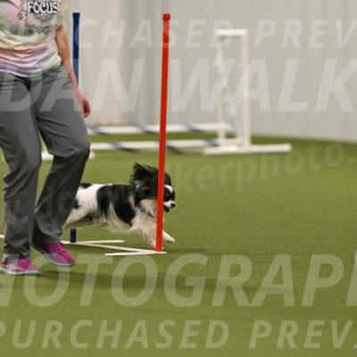 Maverick-Melinda-Sanford-11105