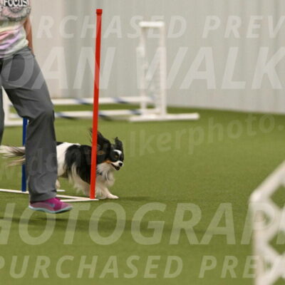 Maverick-Melinda-Sanford-11106