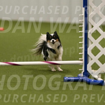 Maverick-Melinda-Sanford-11107