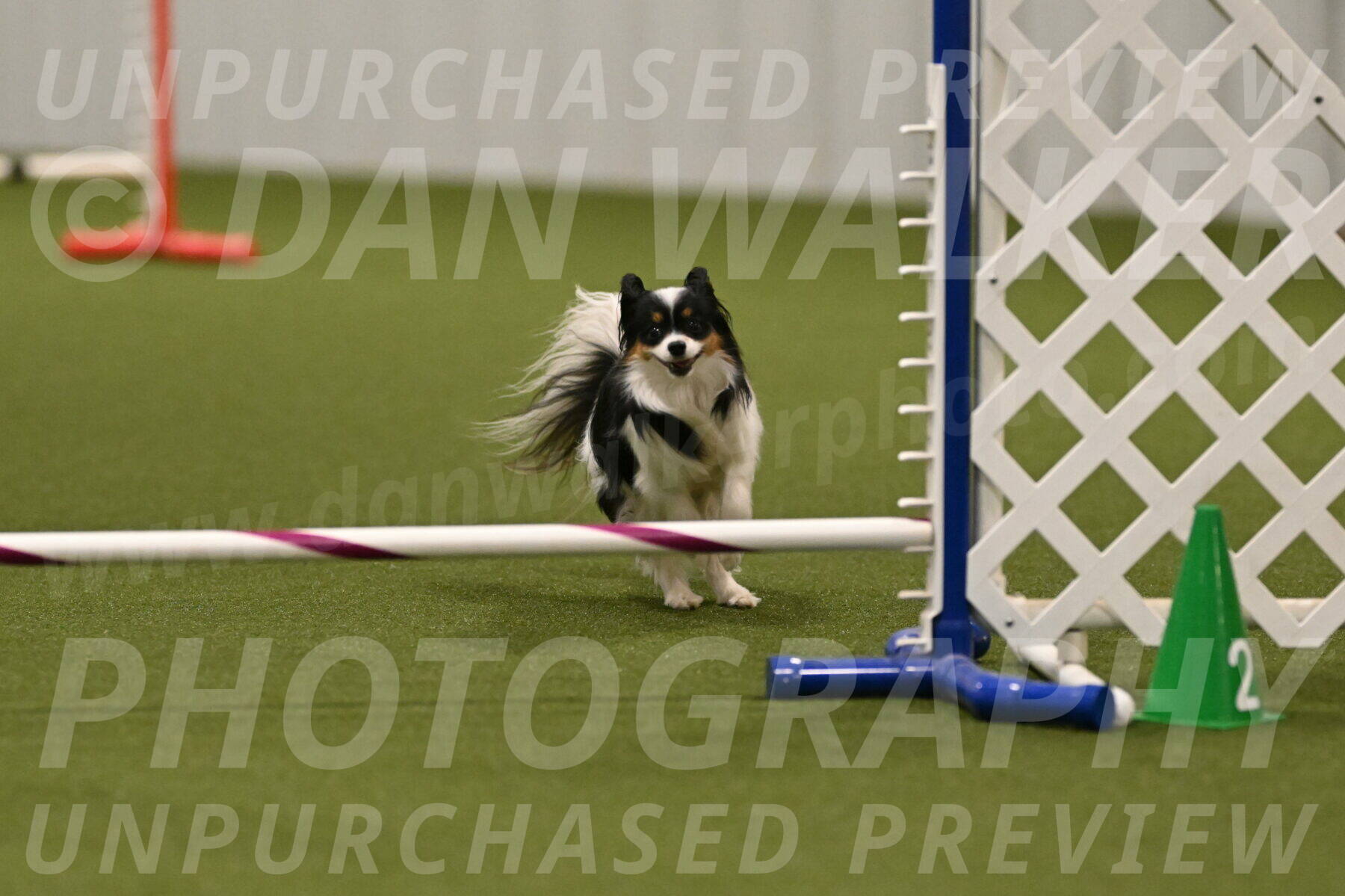 Maverick-Melinda-Sanford-11107