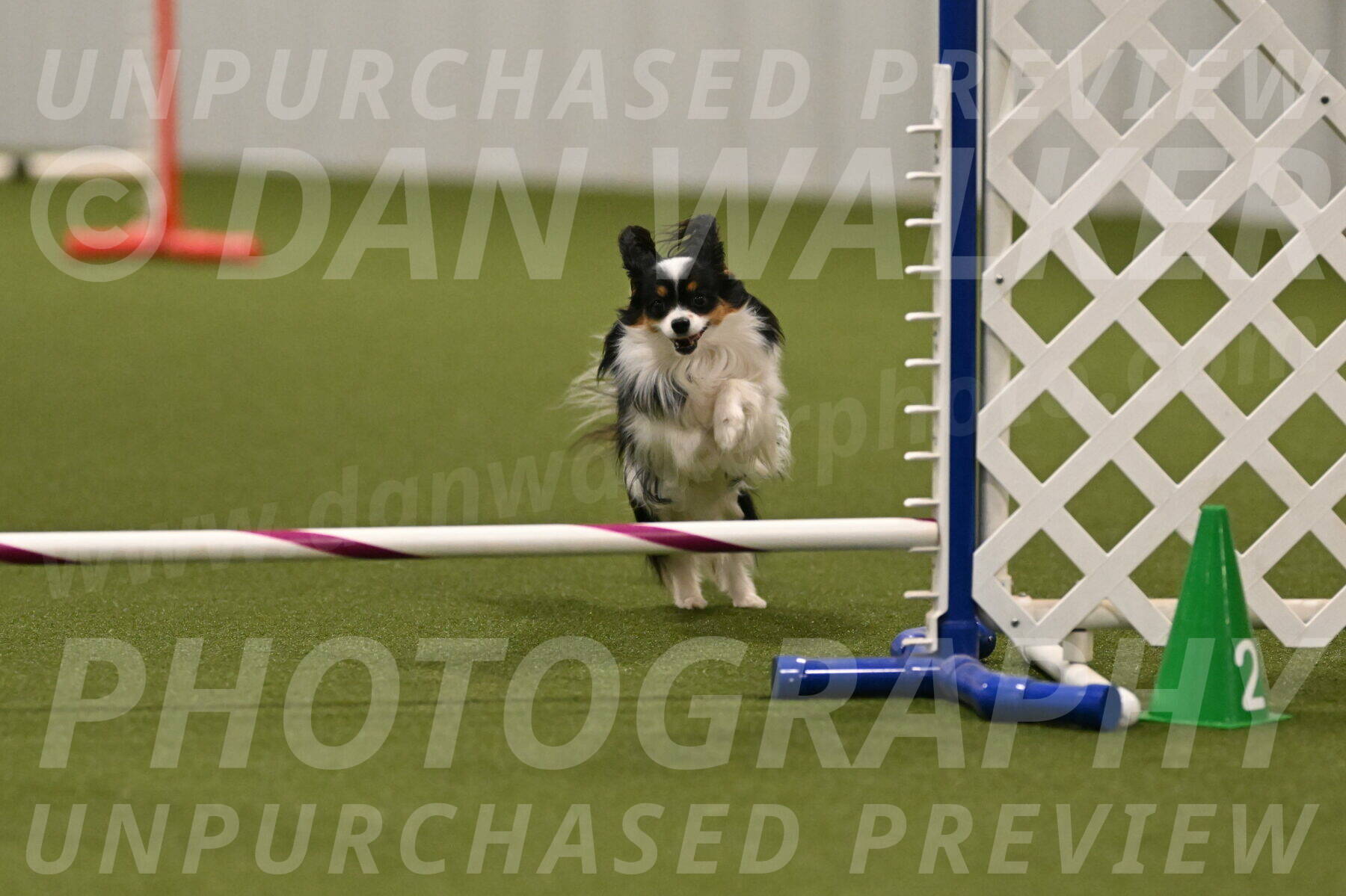 Maverick-Melinda-Sanford-11108