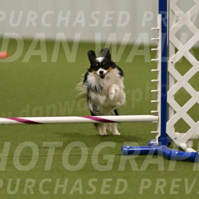 Maverick-Melinda-Sanford-11108