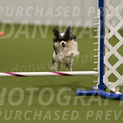 Maverick-Melinda-Sanford-11109