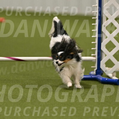 Maverick-Melinda-Sanford-11113
