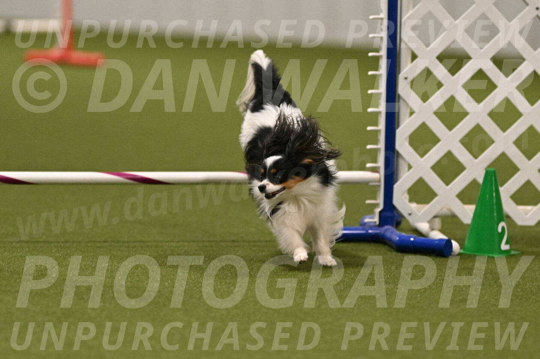 Maverick-Melinda-Sanford-11113