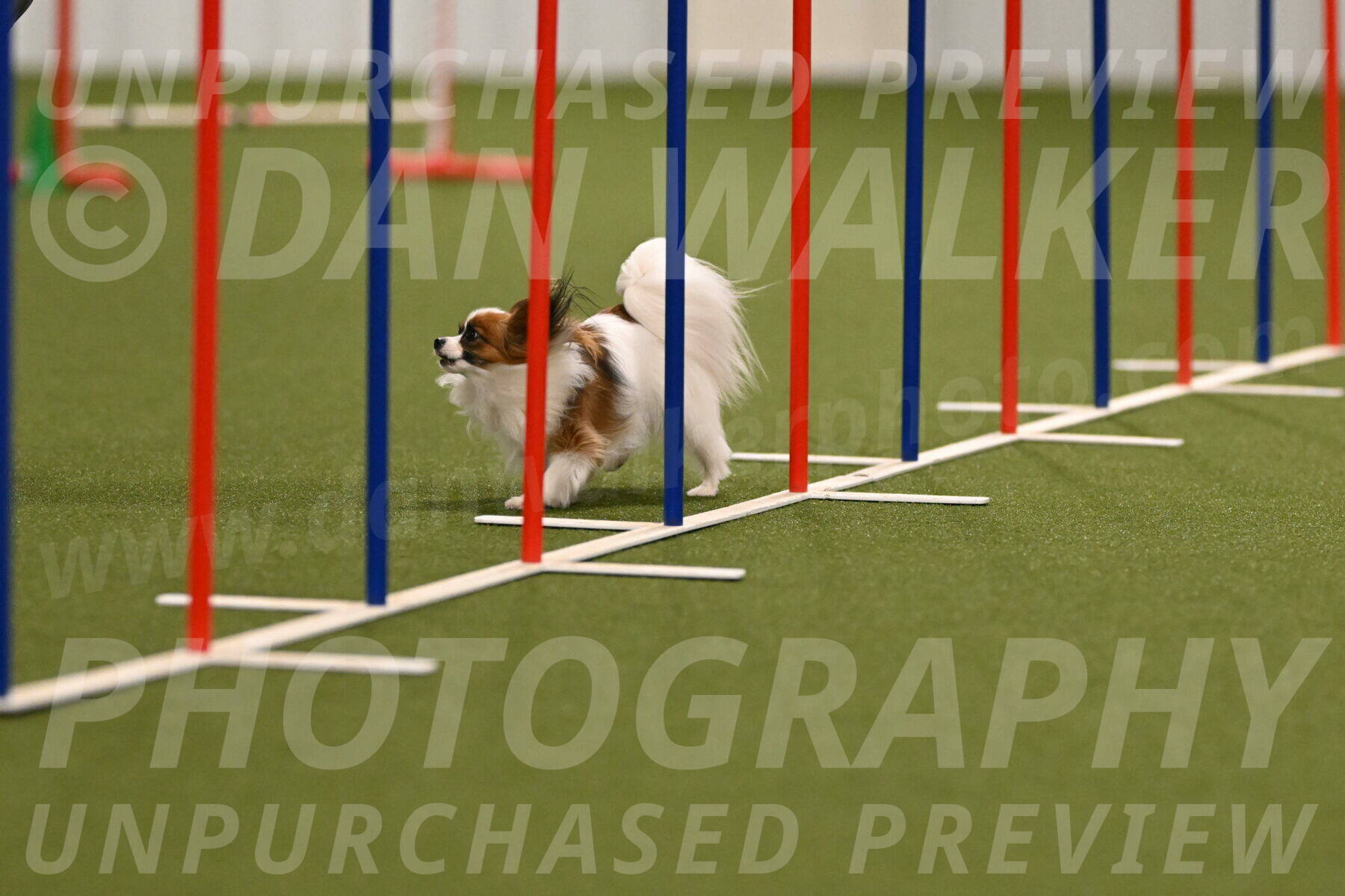 Mazie-Melinda-Sanford-05821