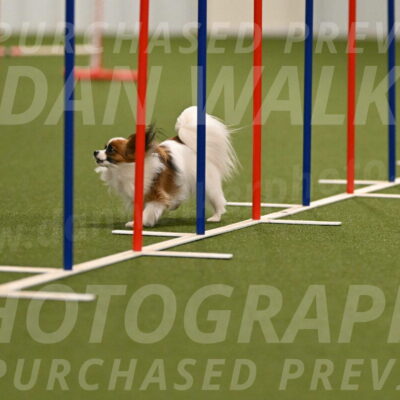 Mazie-Melinda-Sanford-05821