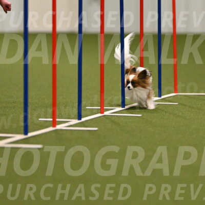 Mazie-Melinda-Sanford-05822