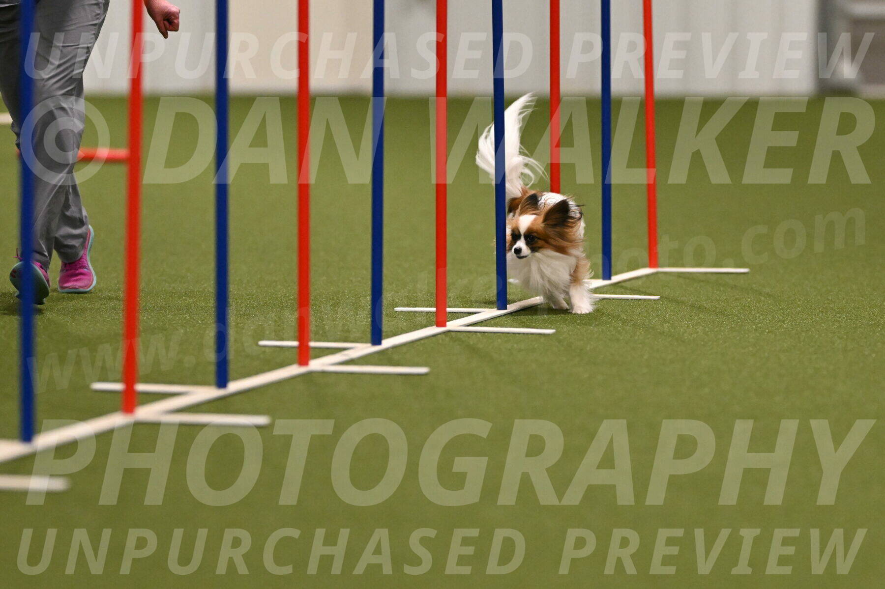 Mazie-Melinda-Sanford-05822