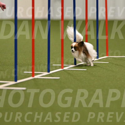 Mazie-Melinda-Sanford-05823